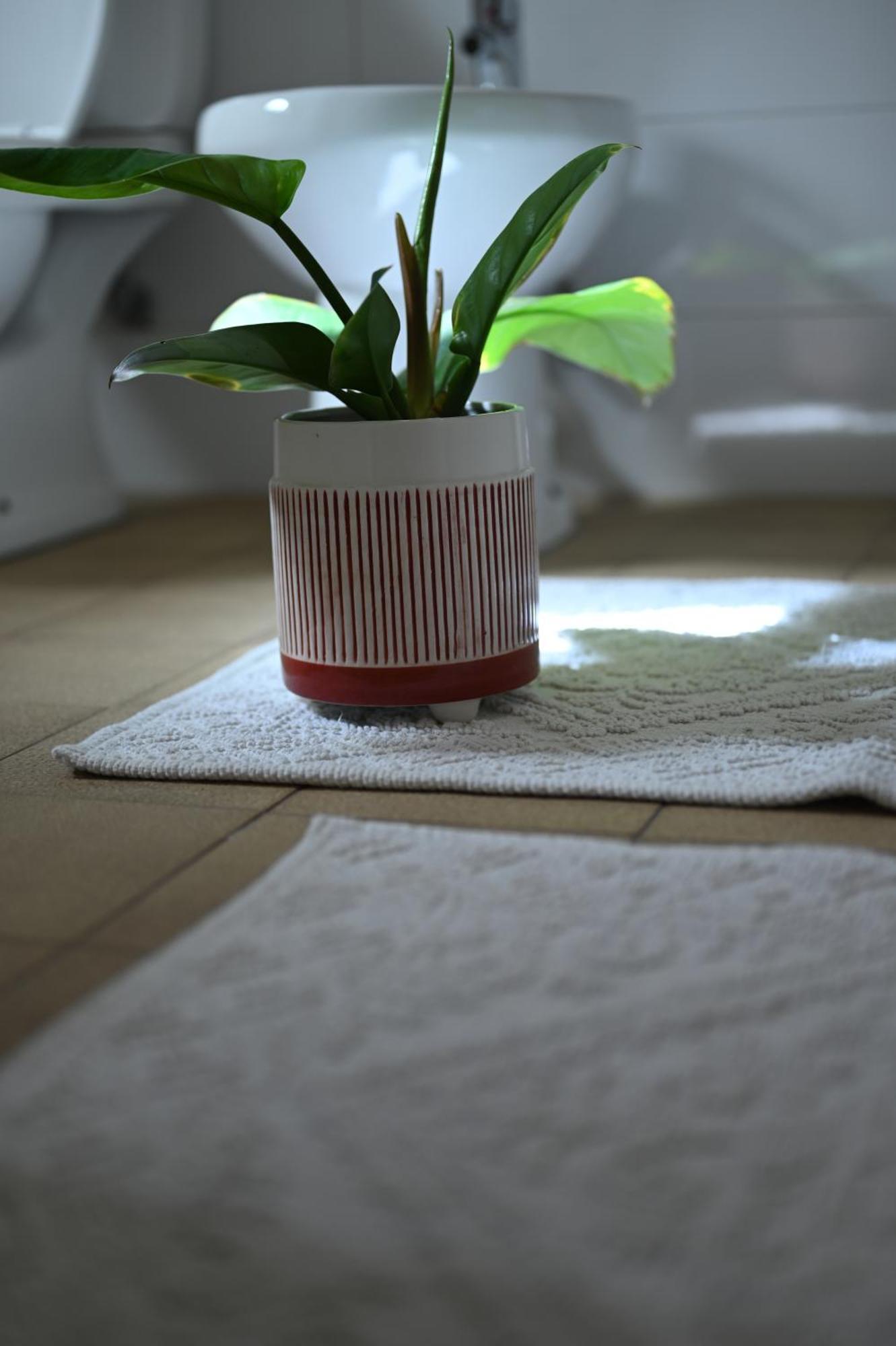 Niche Boutique Hotel Tirana Buitenkant foto